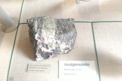 hodgkinsonite
